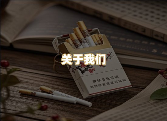 关于我们